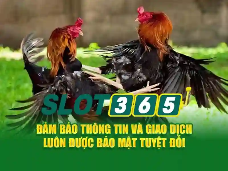 Tải App Slot365