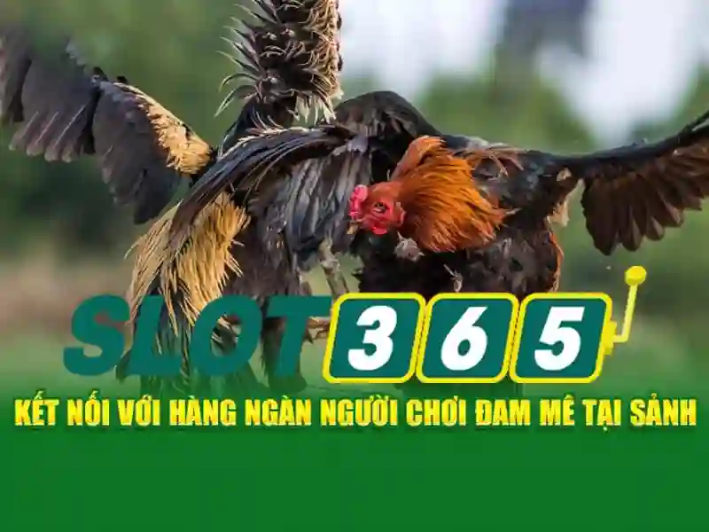 slot365 xx vip