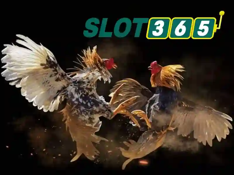 trải nghiệm cá cược Slot365