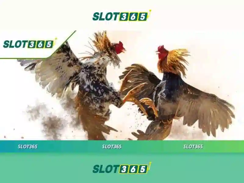 SLOT365 Có Uy Tín Không? Đánh Giá Chi Tiết 2026