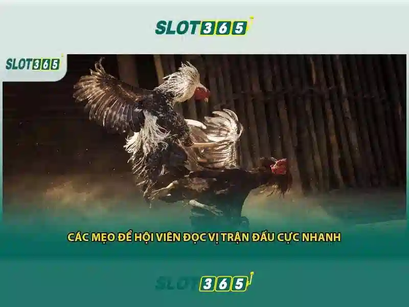 Slot365 Hướng Dẫn