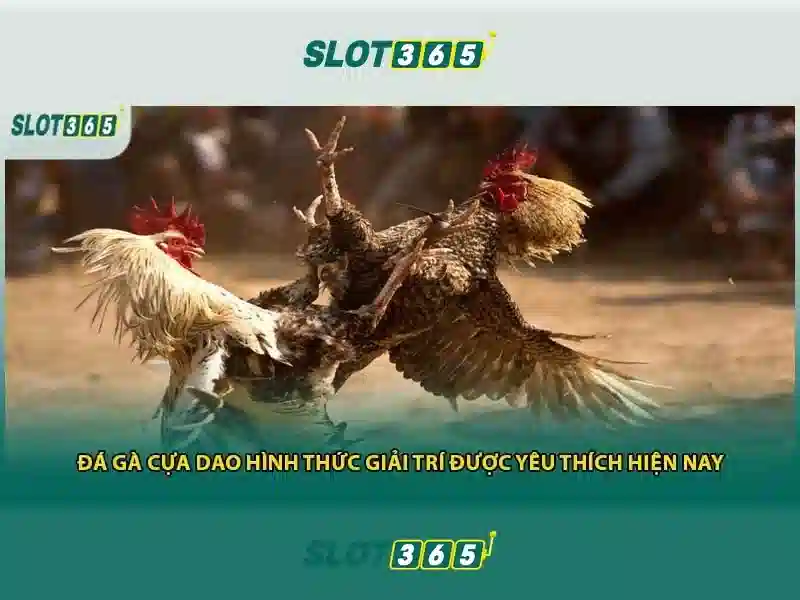 SLOT365 – Điều Kiện Sử Dụng SLOT365 Chính Thức Không Bị Chặn 2026