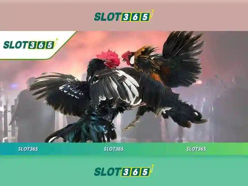 SLOT365 Casino