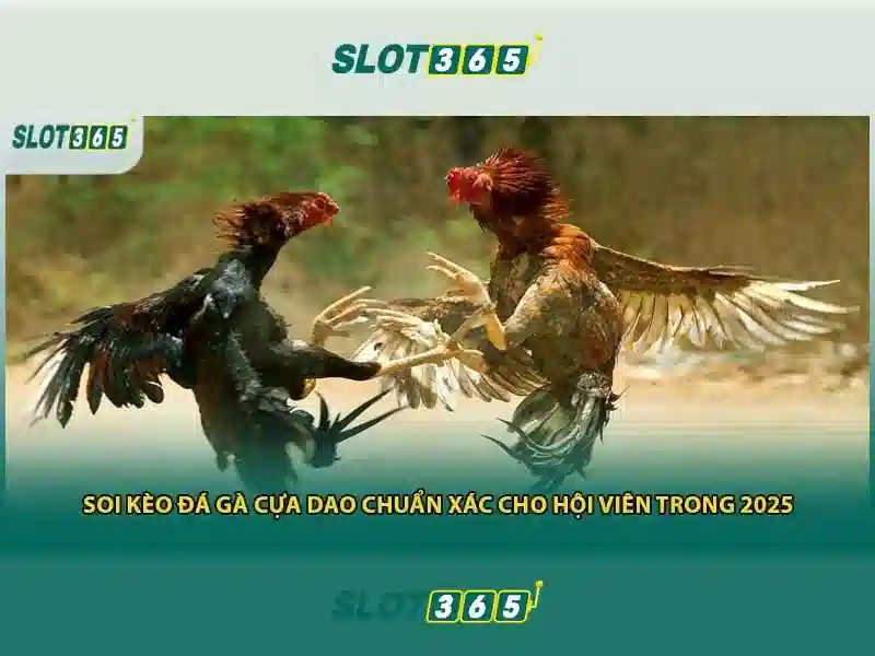 slot365 com