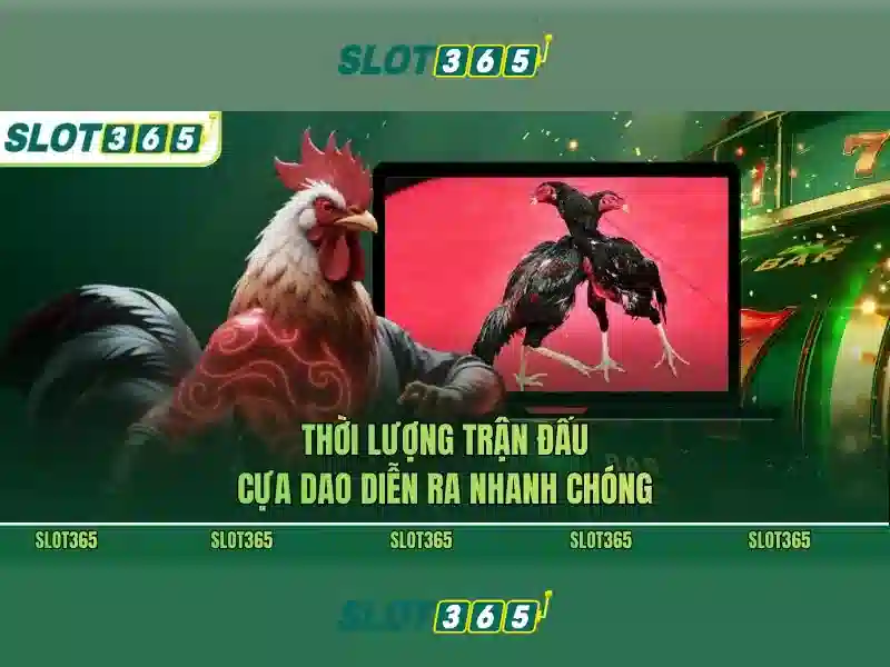 Trò Chơi Slot365