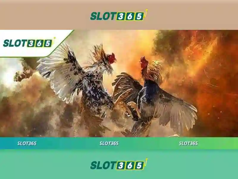 SLOT365 – Hướng Dẫn Slot365 Chi Tiết, Trải Nghiệm Slot365 Đúng Cách