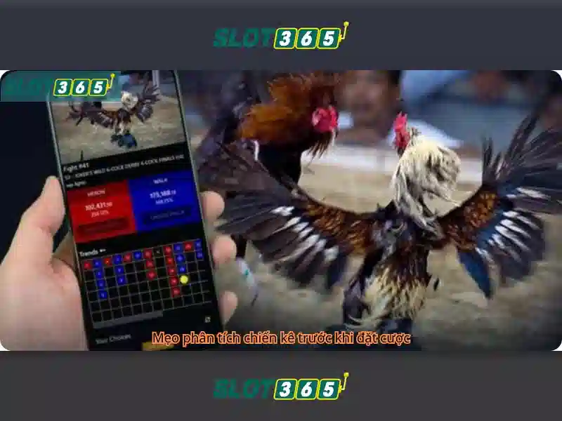 Slot365 Chính Thức
