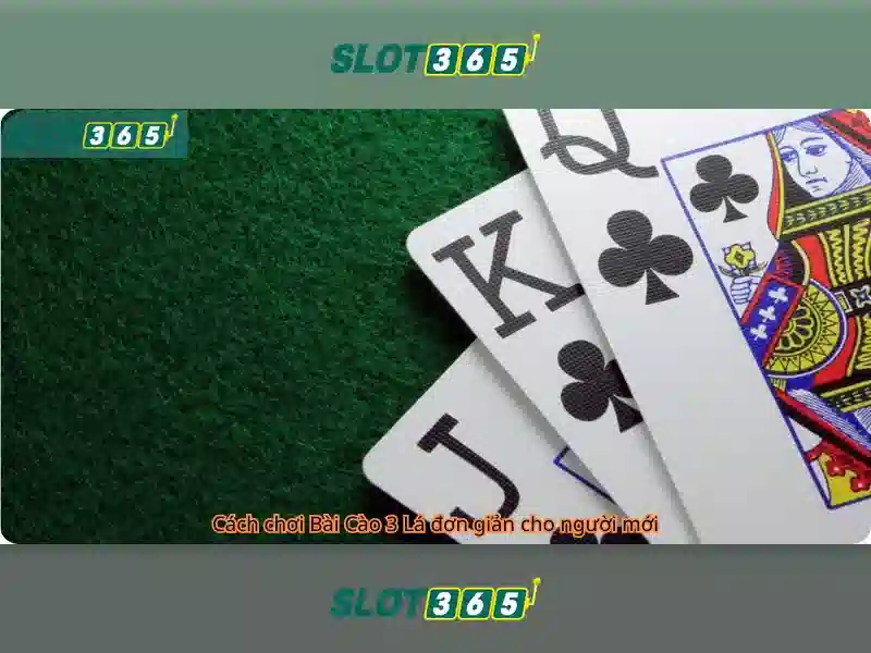 slot365 com