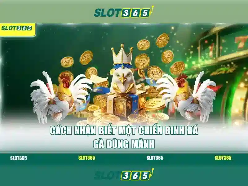 Truy Cập Trang Chủ Chính Thống