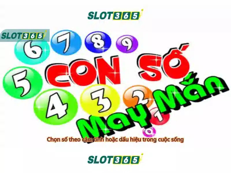 slot hoki 2026