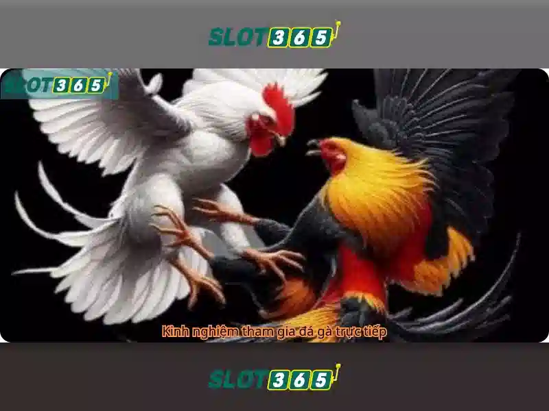 Hướng dẫn đăng ký SLOT365 Net