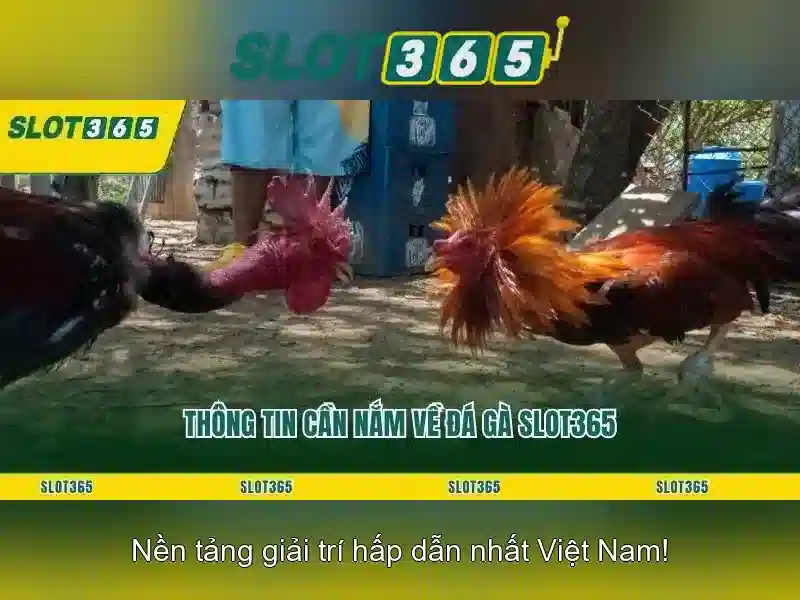 Theo Dõi Thống Kê RTP Thực Tế