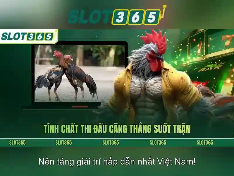 Ưu Điểm Nổi Bật Của Slot365 Poker