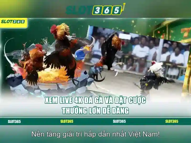 Đa Dạng Thể Loại Trò Chơi Slot365 Poker