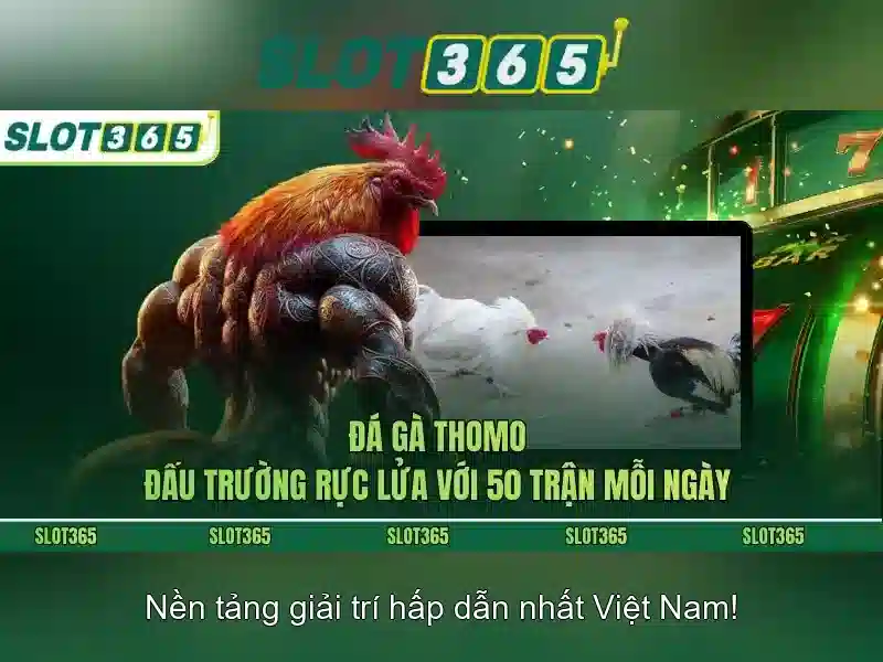 Bí Quyết Tối Ưu Hóa Trải Nghiệm Slot365