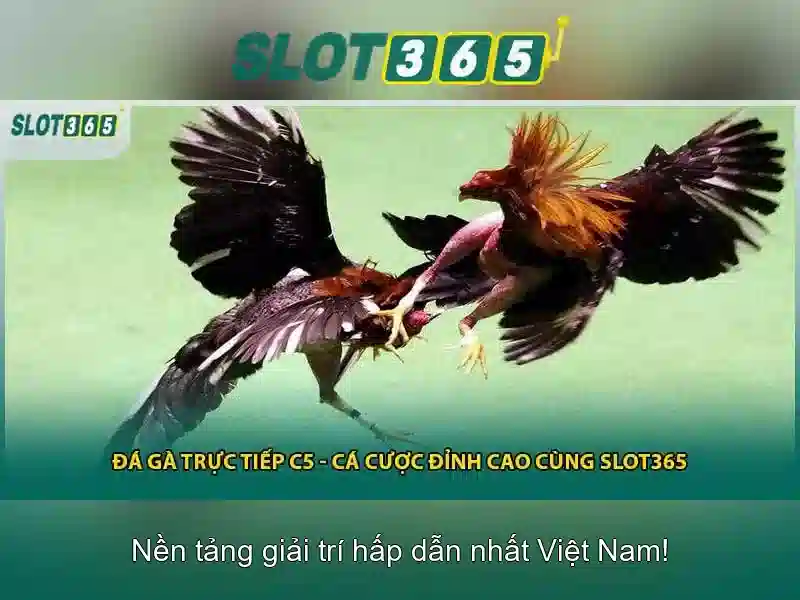SLOT365 – Truy Cập Website Chính Thức, Liên Hệ Trực Tuyến 2026