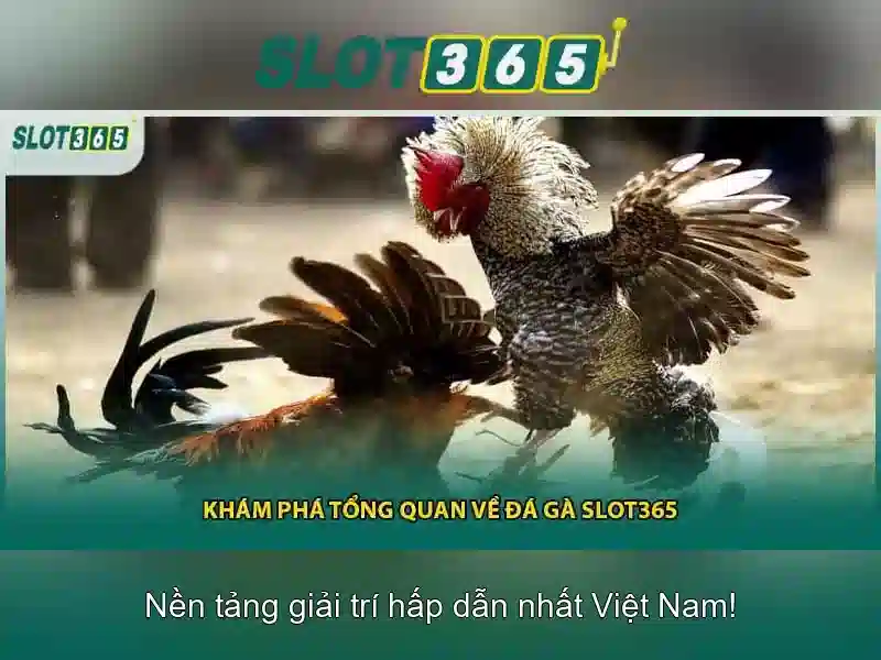 Slot365 trò chơi đa dạng