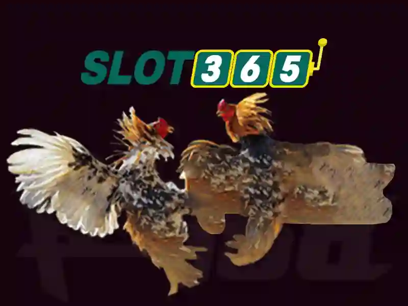 SLOT365