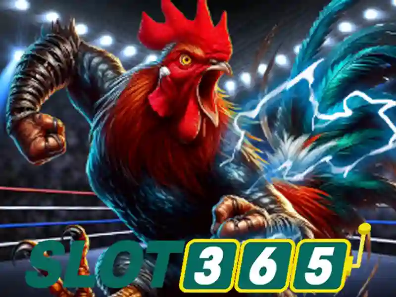 Slot365 giao diện thân thiện