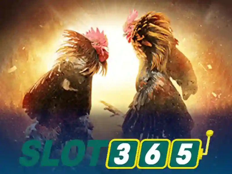 Quyền lợi tải Slot365